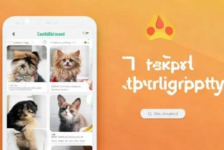 宠物交易网app、宠物交易app下载