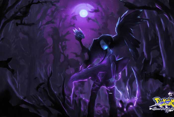 宠物小精灵之黑色幻想，宠物小精灵之黑色幻想TXT