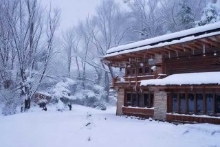 哈尔滨宠物医院排行榜、哈尔滨宠物医院排名