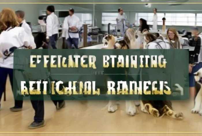 宠物医生培训学校排名 - 宠物医生培训学校排名榜 宠物医生培训学校排名 - 宠物医生培训学校排名榜