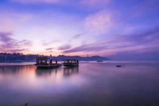 南京宠物医院哪家好、南京宠物医院哪家便宜又好