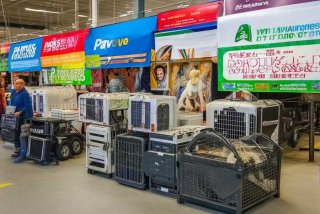 宠物运输平台有哪些 宠物运输平台有哪些品牌