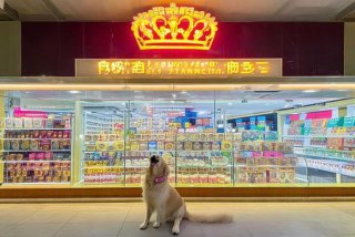 皇家宠物食品上海有限公司 - 皇家宠物食品上海有限公司电话