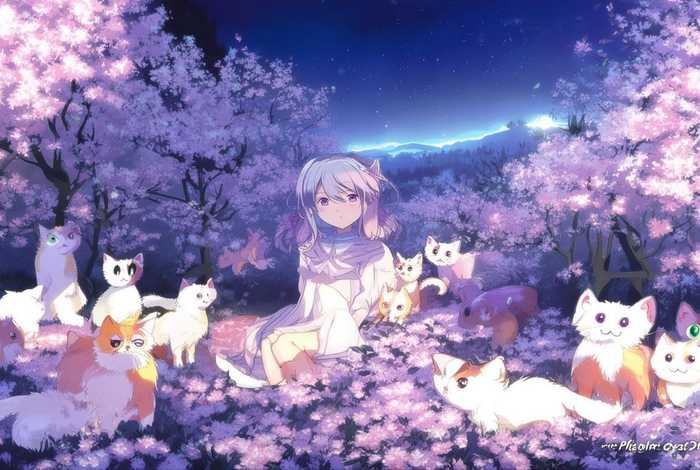 樱花庄的宠物女孩第二季的小说 - 樱花庄的宠物女孩第二季的小说叫什么 樱花庄的宠物女孩第二季的小说 - 樱花庄的宠物女孩第二季的小说叫什么