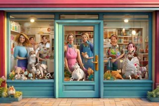 开宠物店需要什么学历，开宠物店需要什么