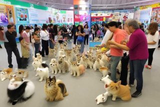 宠物展会（青岛宠物展会）