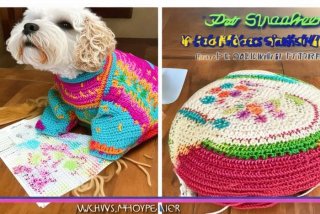 宠物衣服钩织教程与图解、宠物衣服钩织教程与图解五斤