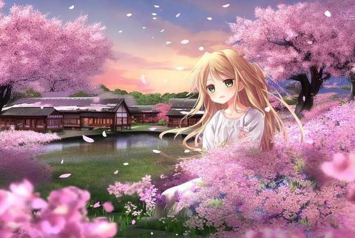 樱花庄的宠物女孩动漫在线观看，樱花庄的宠物女孩动漫在线观看星辰影院