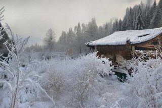 南京宠物医院排行榜、南京宠物医院排行榜最新