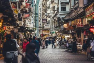 天津宠物市场哪个最全（天津宠物市场哪个最全便宜）