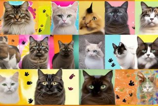 宠物猫排行榜前十名、宠物猫排行榜前十名图片