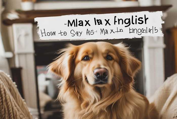 宠物的名字是什么英文，宠物的名字是什么英文怎么说