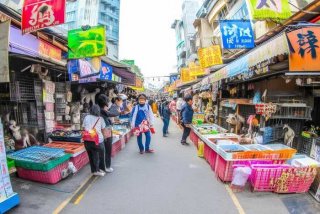 南宁宠物市场在哪里；南宁宠物市场在哪里进货