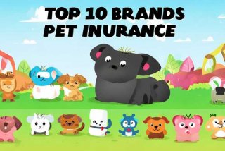 宠物保险排行榜前十名，宠物保险排行榜前十名品牌