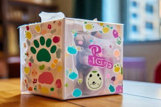 宠物盲盒是什么，宠物盲盒是什么意思