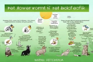 宠物驱虫药指南（宠物驱虫药指南最新）