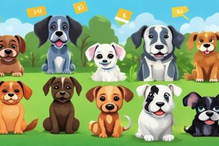 宠物狗排名前十名及价格；宠物犬排名及价格