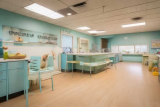 宠物诊所面积要求 - 宠物诊所面积要求标准