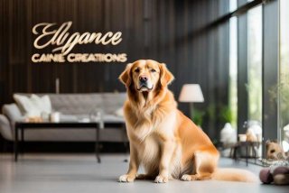 宠物名字高端大气 - 宠物公司名字高端大气