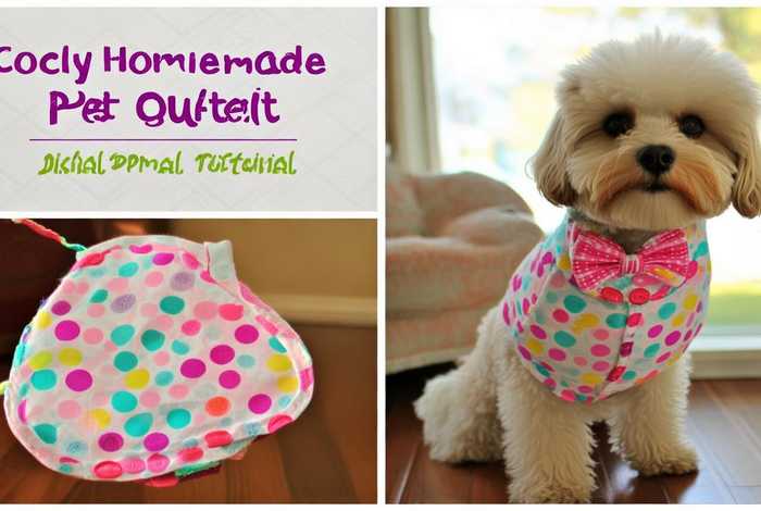 宠物衣服自制版教程、宠物衣服自制版教程图片