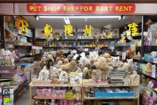 武汉宠物店转让；武汉宠物店转让出租58