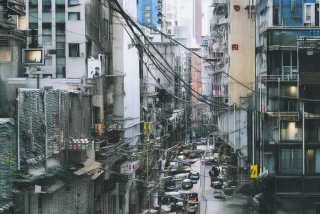 宠物猫种类大全100 宠物猫种类大全100种