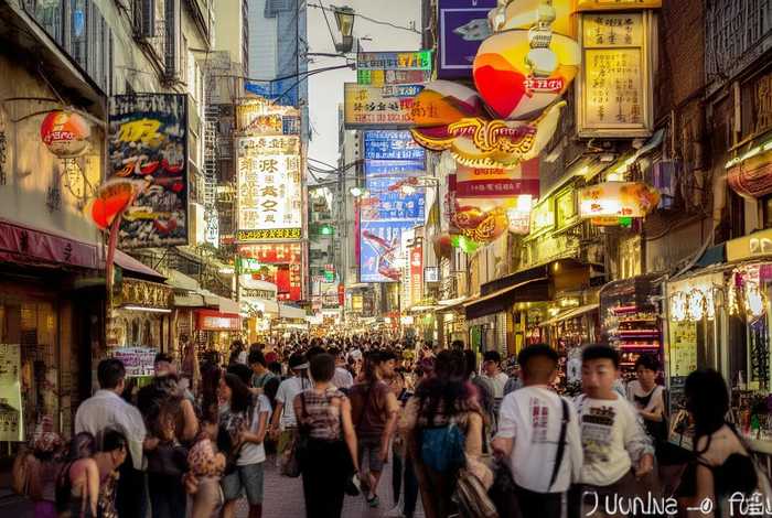 宠物救助热线电话 宠物救助热线电话太原