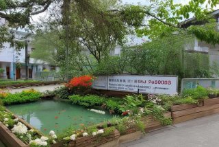 南宁宠物火化联系电话 - 南宁宠物火化联系电话查询