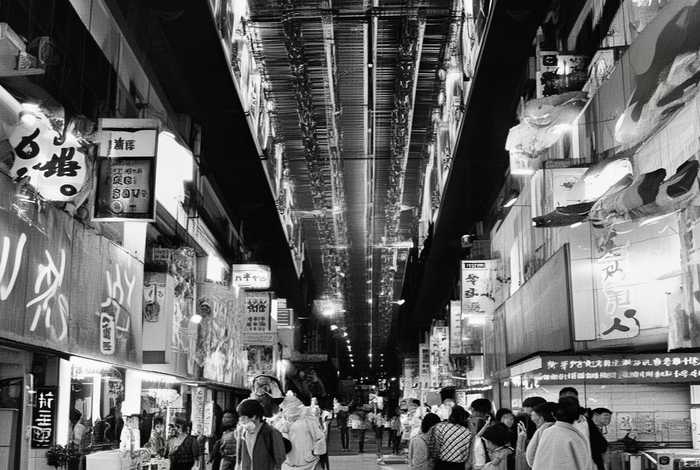 石家庄宠物市场回收荷兰猪吗；石家庄宠物市场回收荷兰猪吗在哪