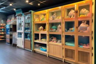 宠物店宠物柜子效果图，宠物店宠物柜子效果图大全