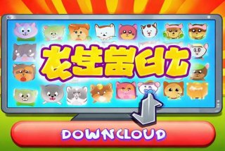 宠物连连看下载单机版免费下载中文版，宠物连连看下载单机版 免费下载