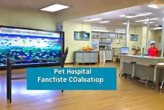 宠物医院加盟合作；宠物医院加盟合作协议