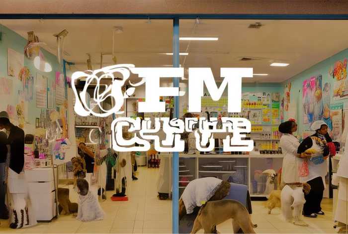 宠物美容培训学校官方旗舰店 - 宠物美容培训学校官网