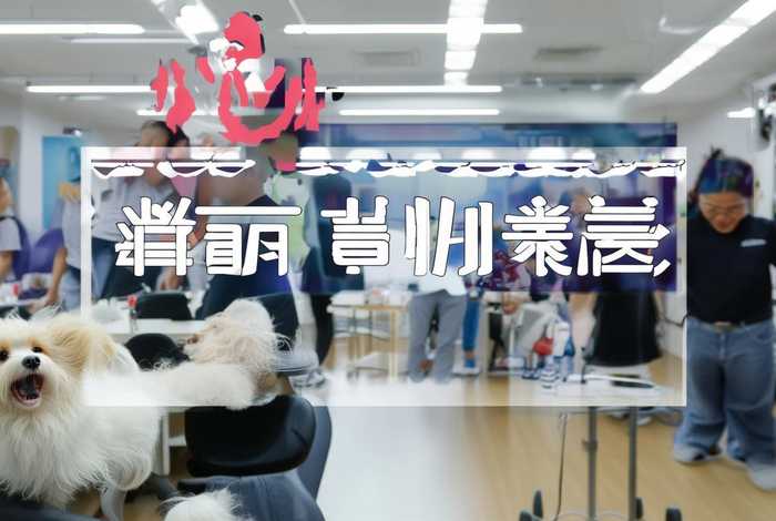 宠物美容培训学校官网 - 派多格宠物美容培训学校官网