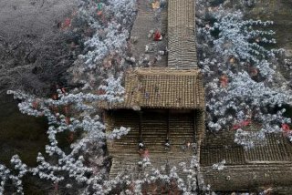 宠物公墓需要哪些手续（宠物公墓需要哪些手续费用）