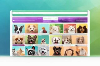 宠物网站前景（宠物网站前景分析）