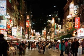 石家庄宠物市场直播，石家庄宠物市场直播视频