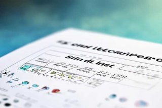 宠物皮肤病化验单（宠物皮肤病化验单图片大全）