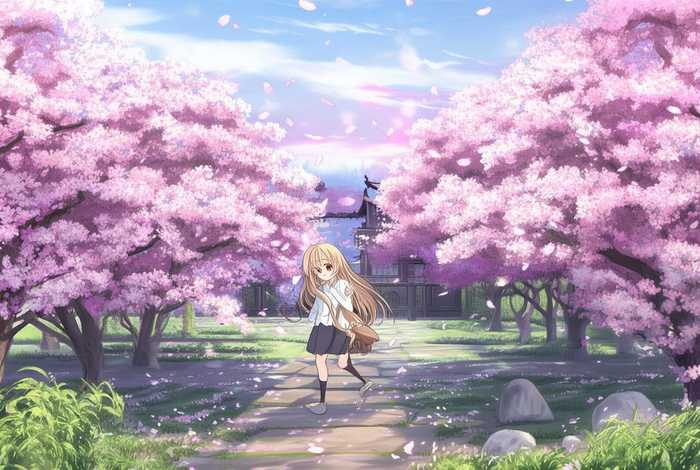 樱花庄的宠物女孩第二季免费观看、樱花庄的宠物女孩第二季免费观看全集