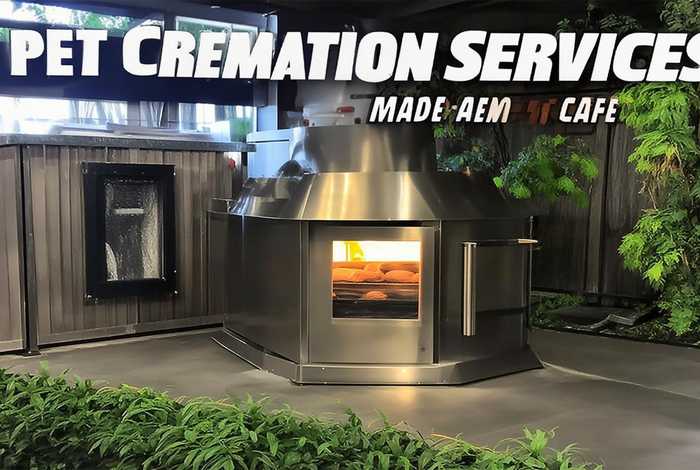 宠物火化炉 - 宠物火化炉厂家