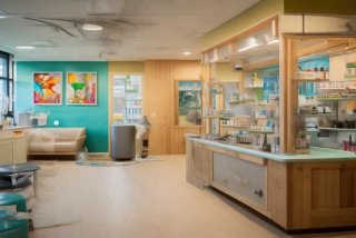 宠物美容店装修风格效果图；宠物美容店装修风格效果图大全