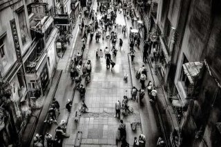 南宁宠物交易 - 南宁宠物交易市场英牛犬