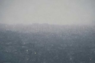 南宁宠物医院哪个好、南宁的宠物医院哪个好