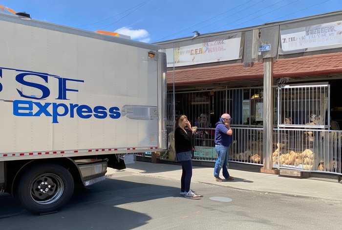 顺丰寄宠物电话 - 顺丰寄宠物电话号码