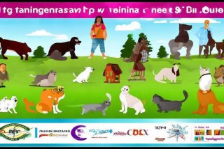 宠物培训有哪些、宠物培训有哪些机构