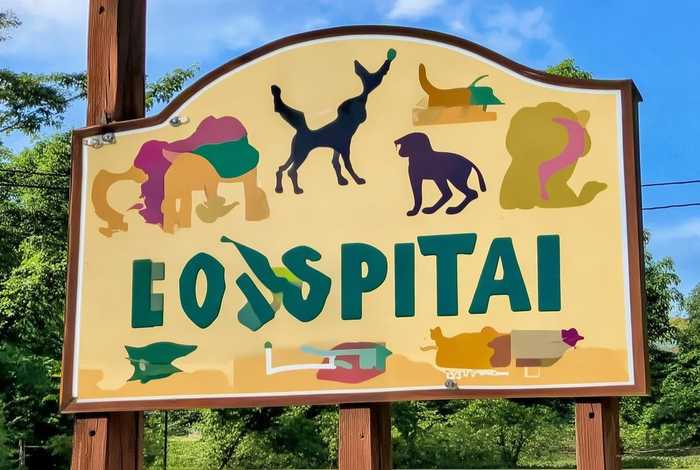 宠物医院医院牌匾图片 宠物医院医院牌匾图片大全 宠物医院医院牌匾图片 宠物医院医院牌匾图片大全