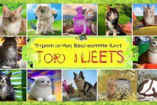 宠物推荐排行榜、宠物推荐排行榜前十名