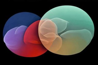 简述人际关系的三维理论，简述人际关系的三维理论包括