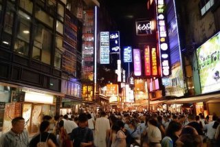 宠物救助热线电话 宠物救助热线电话太原