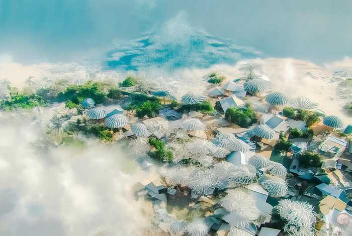 宠物店的小秘密 - 宠物店的小秘密小公举最爱谁